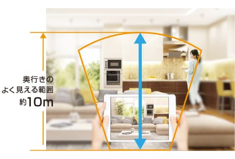 奥行きのよく見える範囲約10m