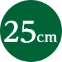 25cm