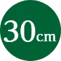 30cm