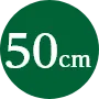 50cm